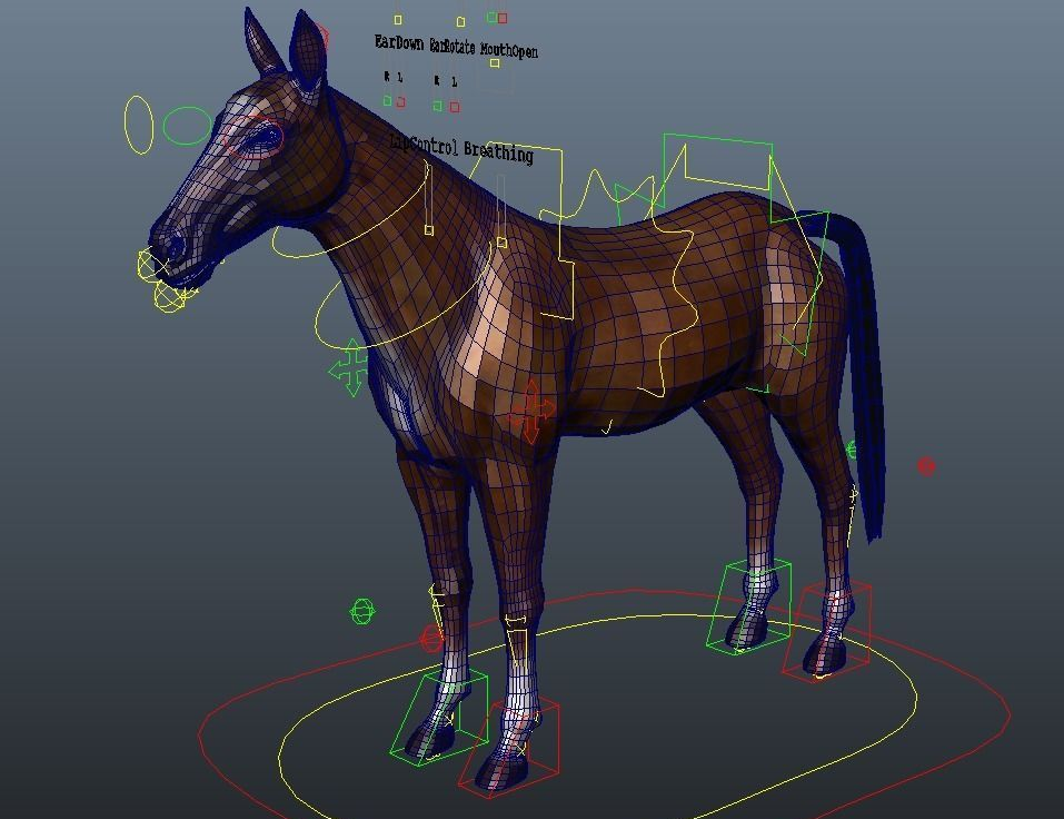 a 3D horse rig